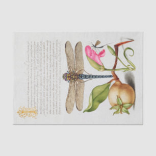 Papier Mousseline Calligraphie (libellule, oeillet et poire)    