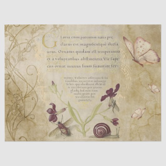 Papier Mousseline Calligraphie médiévale avec la nature (Recto)