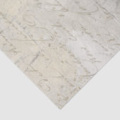 Papier Mousseline Calligraphie Script Gris Beige Marbre Découpage (Détail)