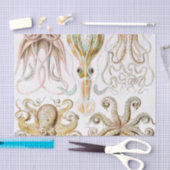 Papier Mousseline Calmar de poulpe, Gamochonia, par Ernst Haeckel (Artisanat)