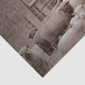 Papier Mousseline Calme et repos du troupeau de moutons sur papier d (Détail)