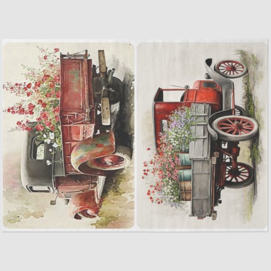 Papier Mousseline Camions de jardin (Recto)