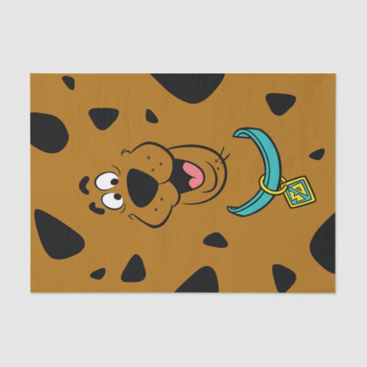 Papier Mousseline Camouflage Scooby-Doo (Recto)