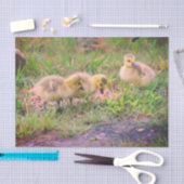 Papier Mousseline Canada Goose Baby Faune Découpage (Artisanat)