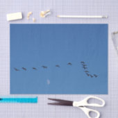 Papier Mousseline Canadian geese (Artisanat)