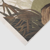 Papier Mousseline Canard abattu des oiseaux d'Amérique (1827) (Détail)