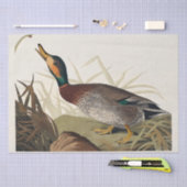 Papier Mousseline Canard abattu des oiseaux d'Amérique (1827) (Artisanat)