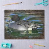 Papier Mousseline Canard Sur Le Lac (Artisanat)