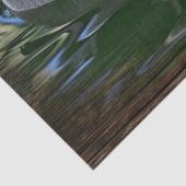 Papier Mousseline Canard Sur Le Lac (Détail)