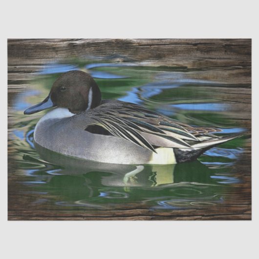 Papier Mousseline Canard Sur Le Lac (Recto)