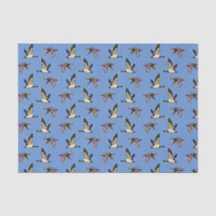 Papier Mousseline Canards colverts