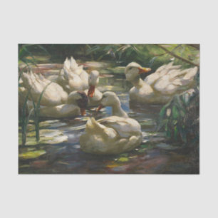 Papier Mousseline Canards sur l'étang forestier par Alexander Koeste
