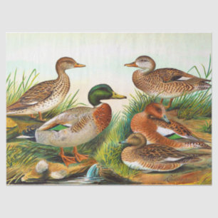 Papier Mousseline Canards vintages À L'Étang 3 Découpage