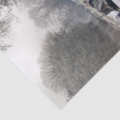 PAPIER MOUSSELINE CANAUX (Détail)