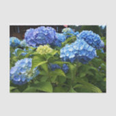 Papier Mousseline Canot découpage Nikko Blue Hydrangea (Recto)
