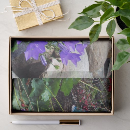 Papier Mousseline Canterbury Bells (Cadeau)