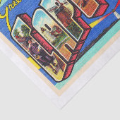 Papier Mousseline Cape Cod Massachusetts MA Large Letter Postcard (Détail)