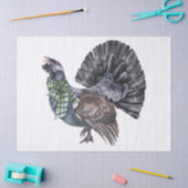 Papier Mousseline Capercaillie Tartan Scalf Highland (Artisanat)