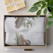 Papier Mousseline Caprimulgus Ruficollis, Découpage (Cadeau)