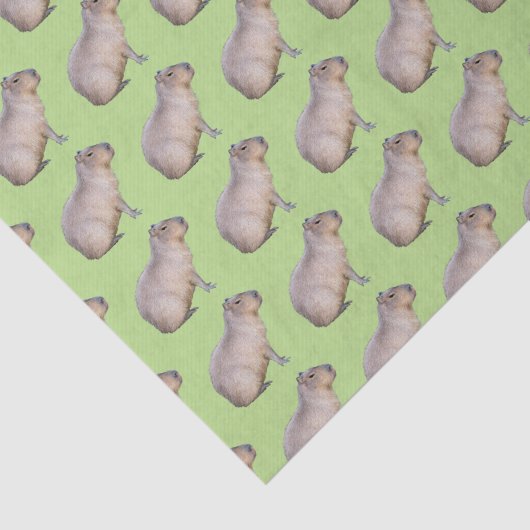 Papier Mousseline Capybara (Détail)