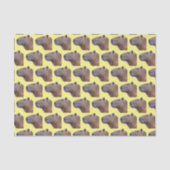 Papier Mousseline Capybara (Recto)