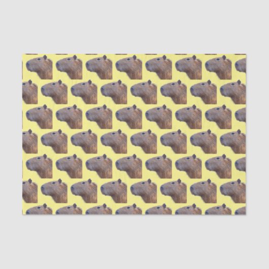 Papier Mousseline Capybara (Recto)