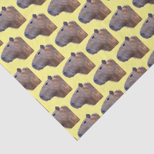 Papier Mousseline Capybara (Détail)