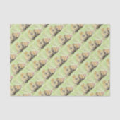 Papier Mousseline Capybara (Recto)