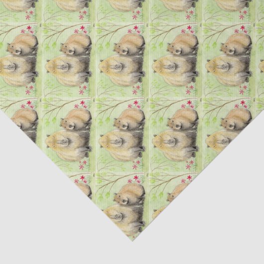 Papier Mousseline Capybara (Détail)