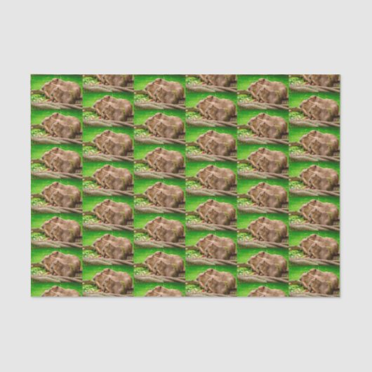 Papier Mousseline Capybara Trio (Recto)