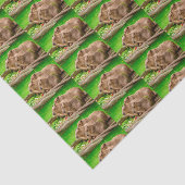 Papier Mousseline Capybara Trio (Détail)