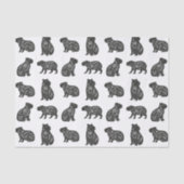 Papier Mousseline Capybaras (Recto)