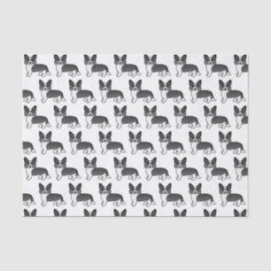 Papier Mousseline Cardigan Welsh Corgi Chien Motif Noir Et Blanc