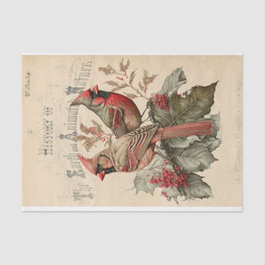 Papier Mousseline Cardinal (Recto)