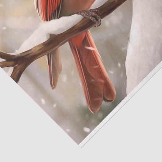 Papier Mousseline Cardinal (Détail)