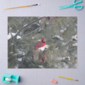 Papier Mousseline Cardinal 3093 Papier Tissu (Artisanat)