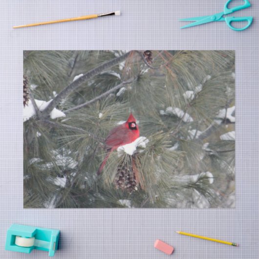 Papier Mousseline Cardinal 3093 Papier Tissu (Artisanat)