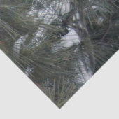 Papier Mousseline Cardinal 3093 Papier Tissu (Détail)