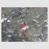 Papier Mousseline Cardinal 3093 Papier Tissu (Recto)