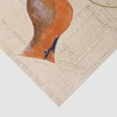 Papier Mousseline Cardinal Bird Bird Plan directeur Découpage rouge (Détail)
