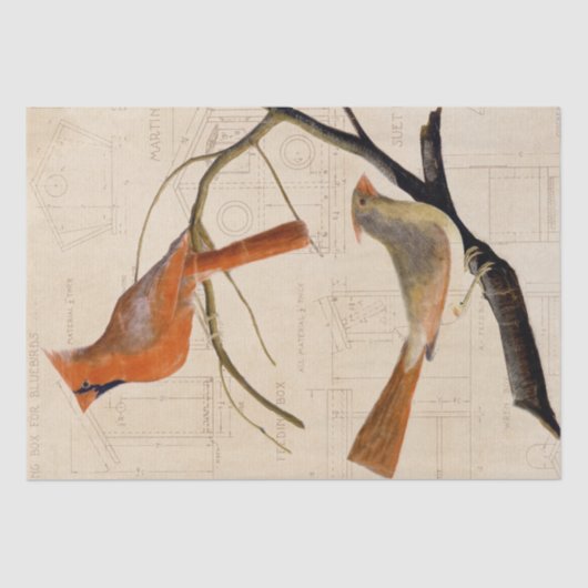 Papier Mousseline Cardinal Bird Bird Plan directeur Découpage rouge (Recto)