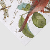 Papier Mousseline Cardinal Bird Nest Dragonfly French Script Music (Détail)