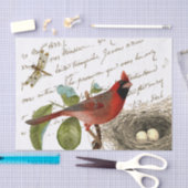 Papier Mousseline Cardinal Bird Nest Dragonfly French Script Music (Artisanat)