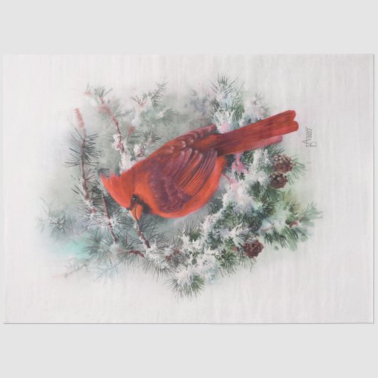 Papier Mousseline Cardinal de Noël (Recto)