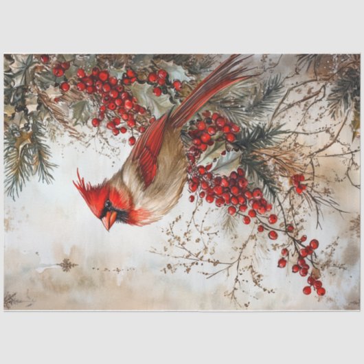 Papier Mousseline Cardinal de Noël rouge (Recto)