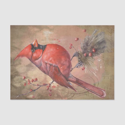 Papier Mousseline Cardinal d'hiver (Recto)