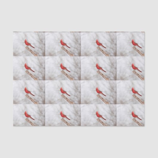 Papier Mousseline Cardinal du Nord sur une branche (Recto)