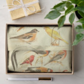 Papier Mousseline Cardinal Ephémère Découpage (Cadeau)
