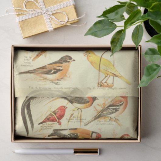 Papier Mousseline Cardinal Ephémère Découpage (Cadeau)