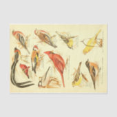 Papier Mousseline Cardinal Ephémère Découpage (Recto)